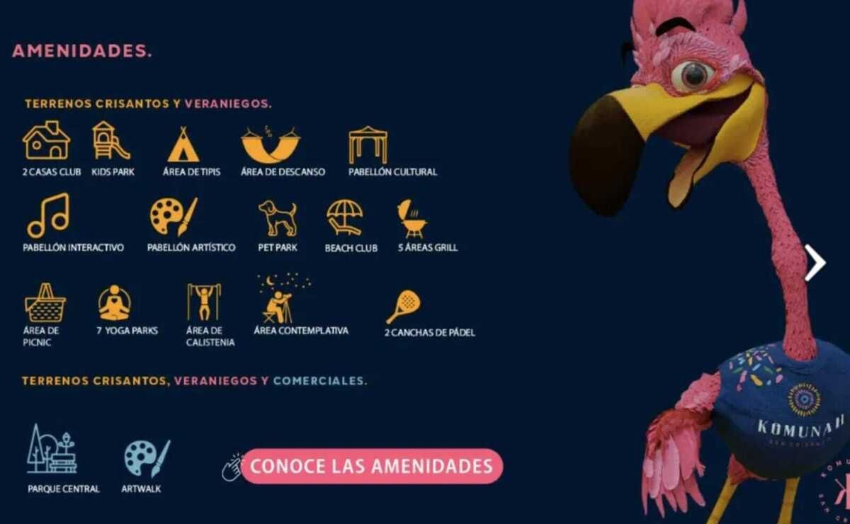 5 de 26