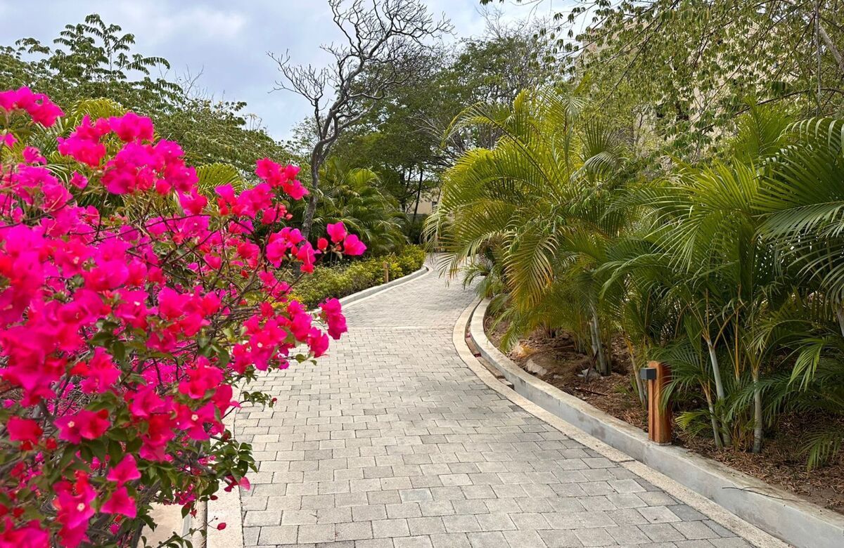 4 de 40: Development - Pathway - Amanacer - Arrocito - Ocean View
