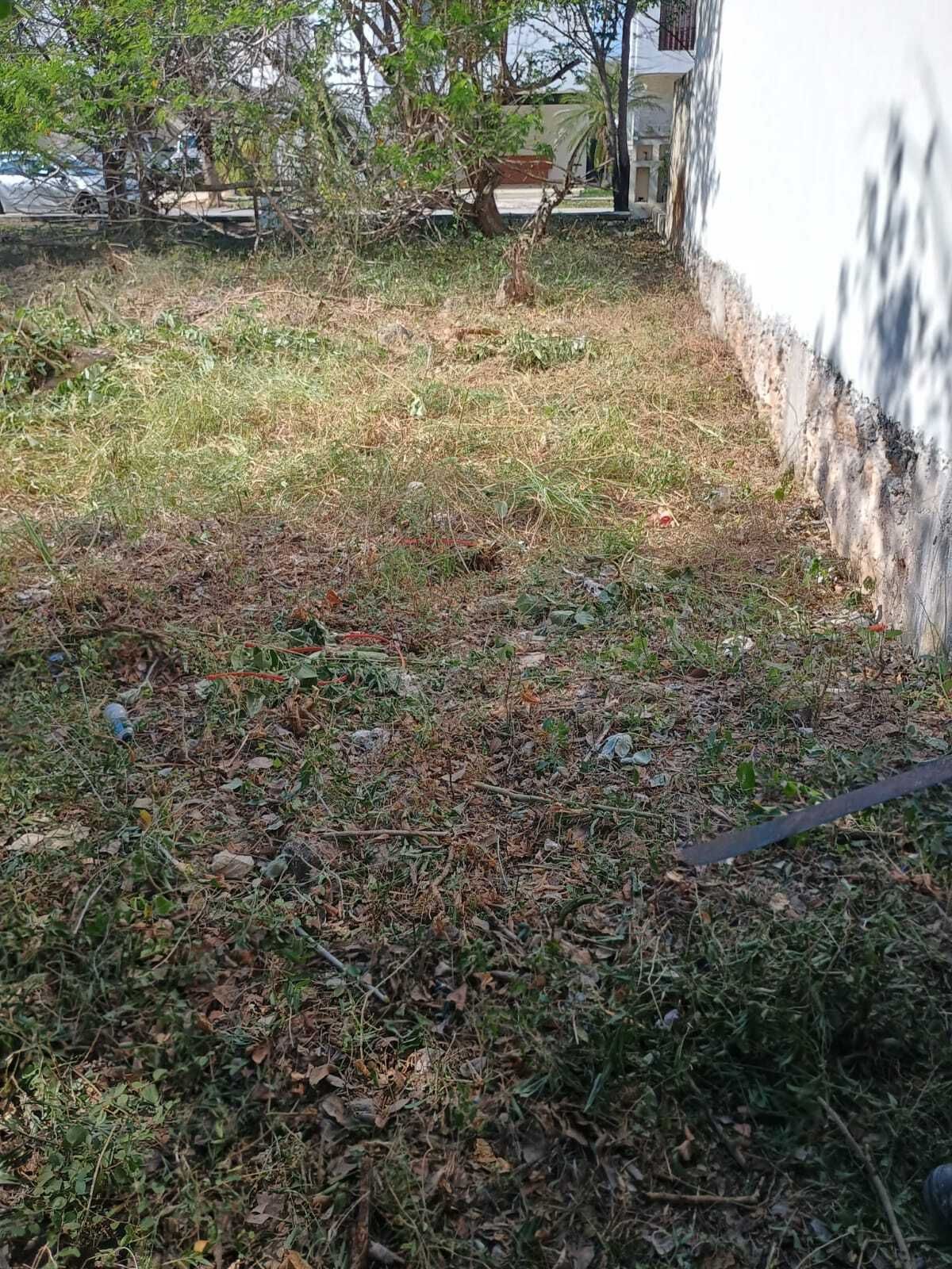1 de 4