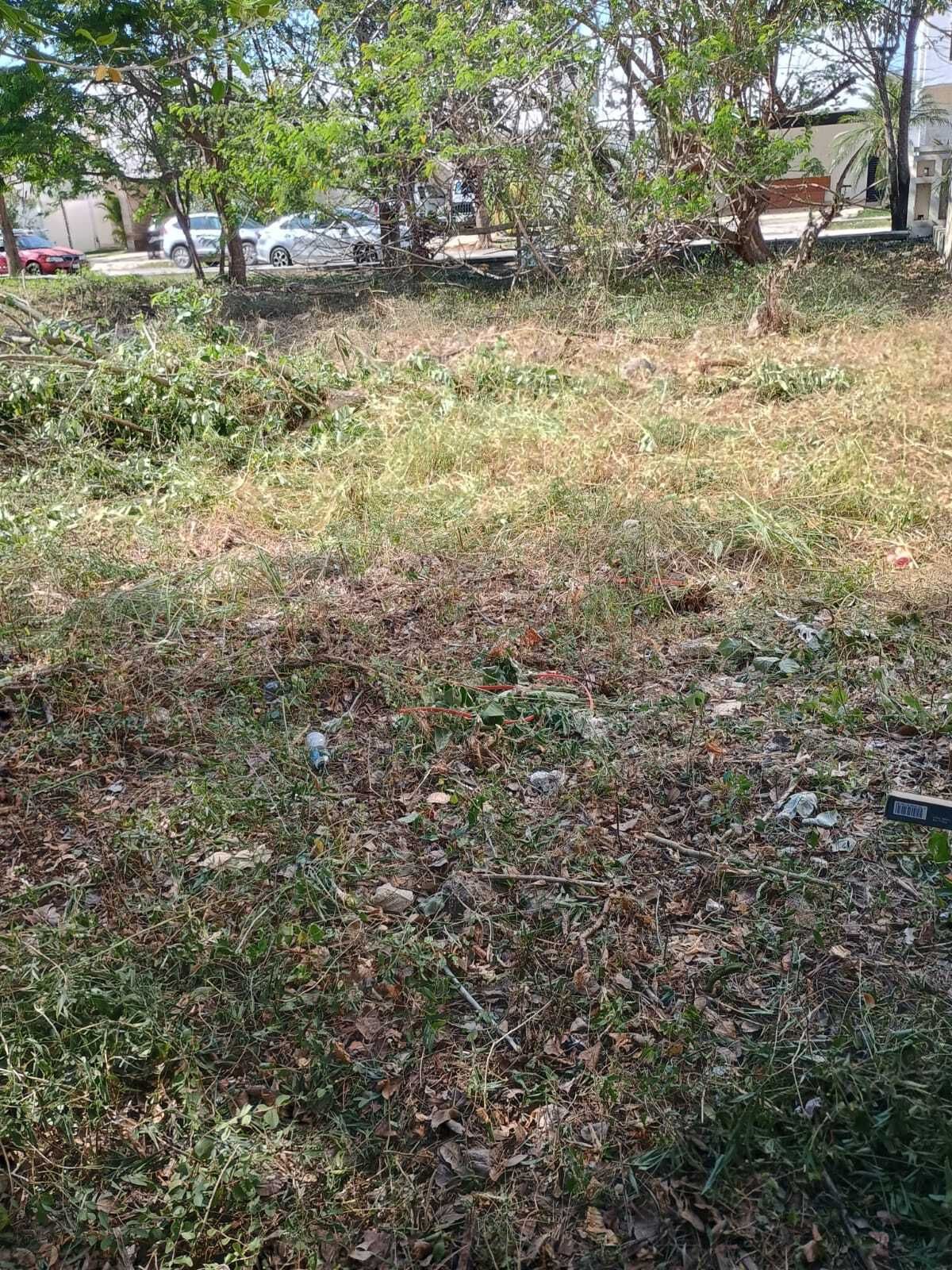 2 de 4
