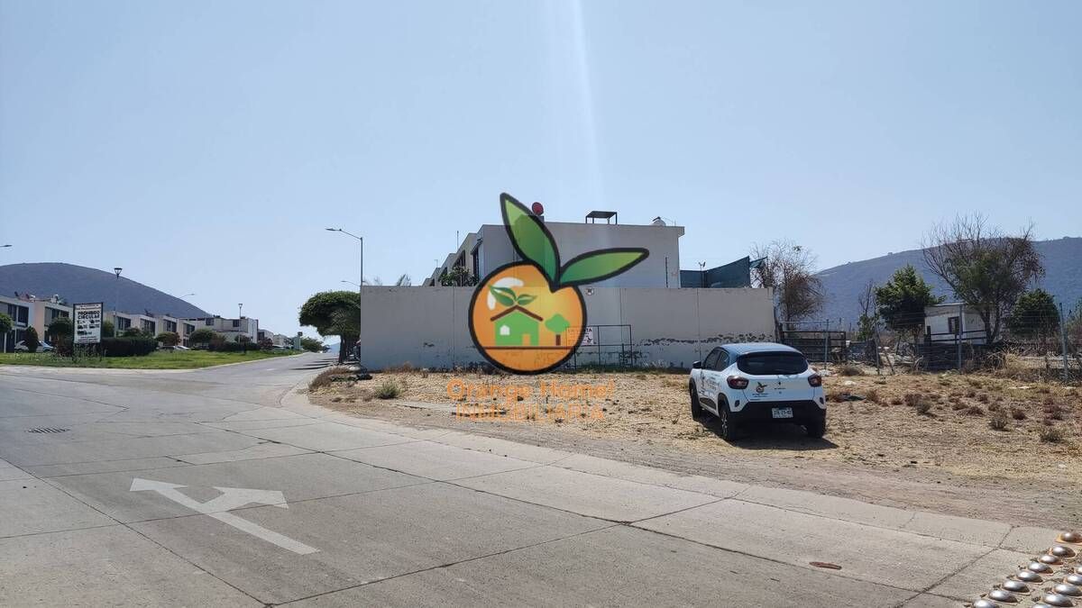 12 de 13