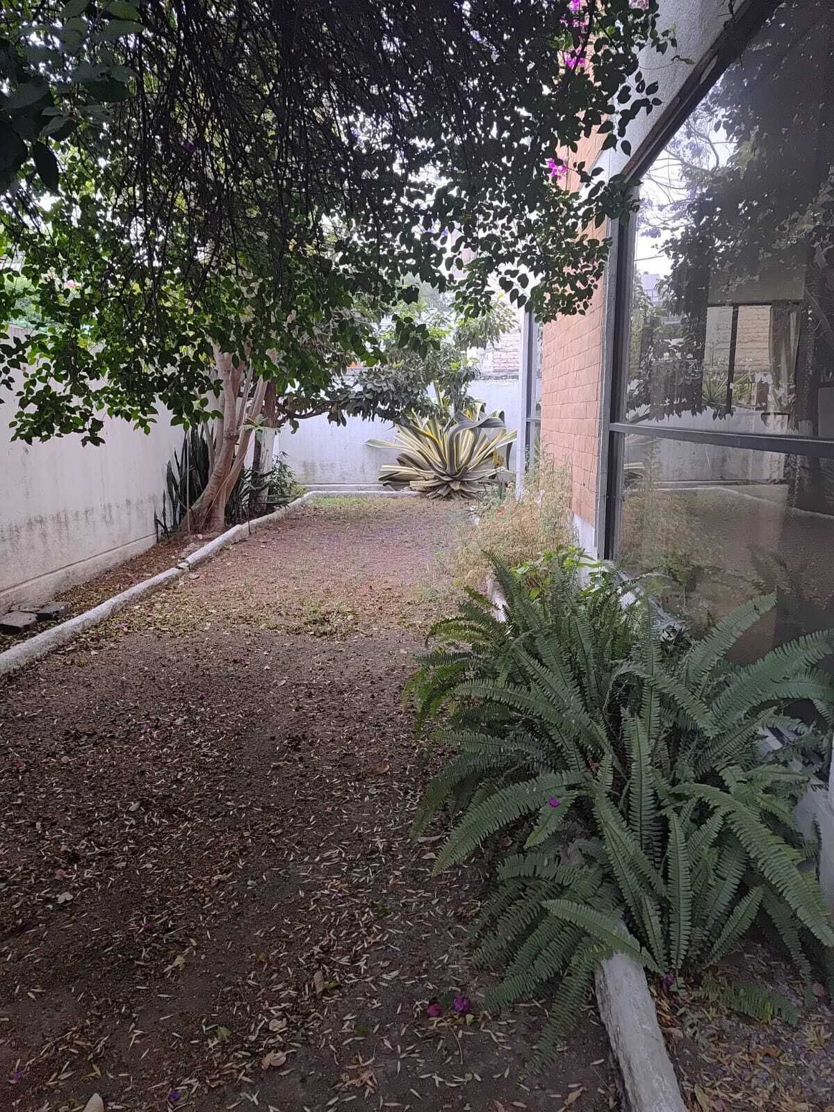 1 de 25