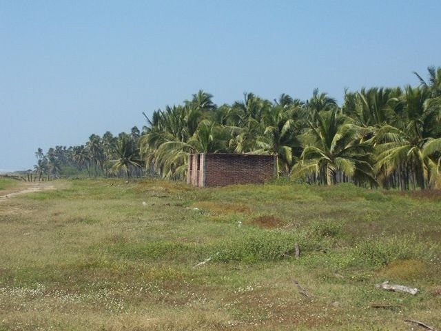 1 de 14