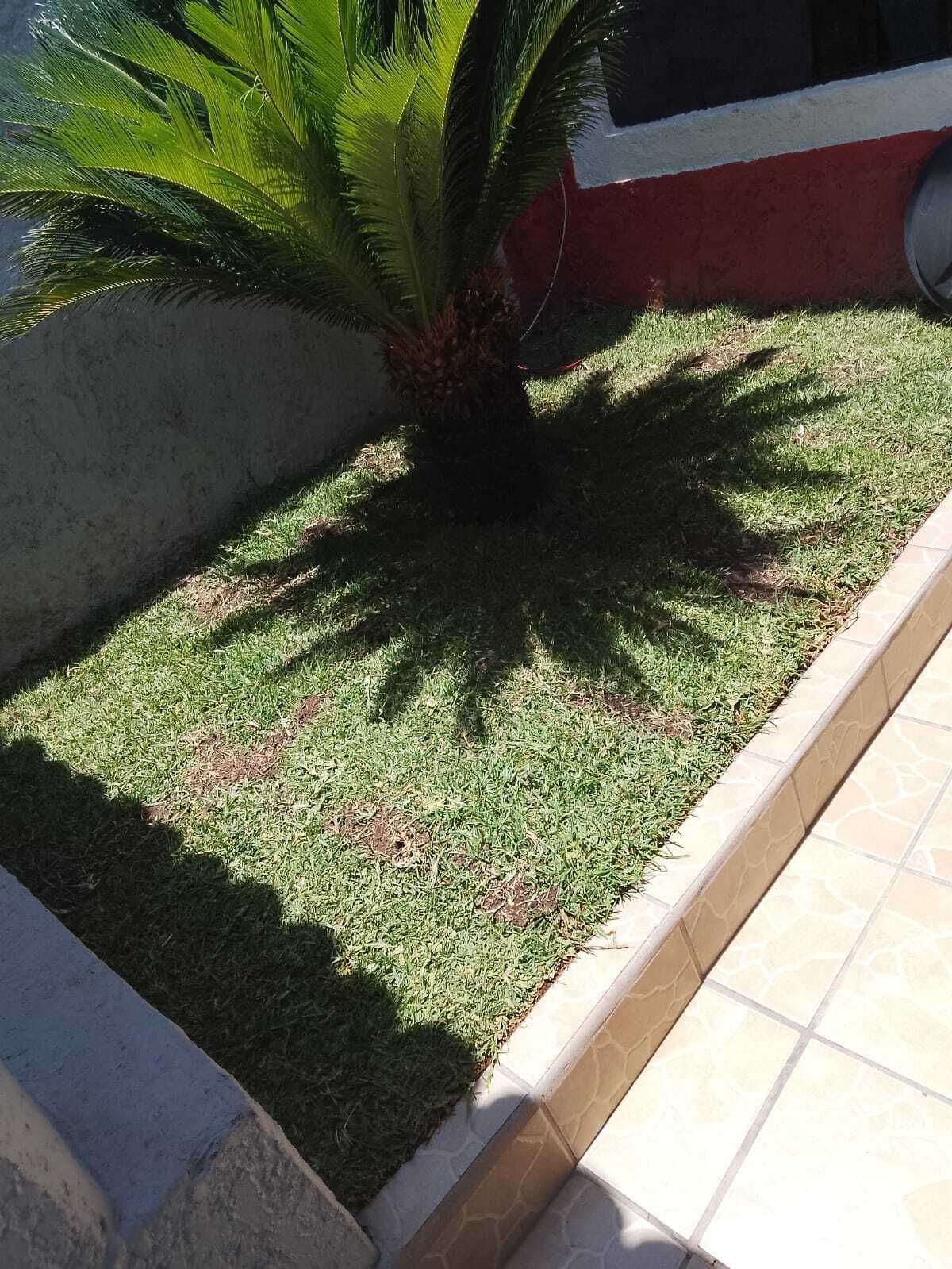 15 de 25