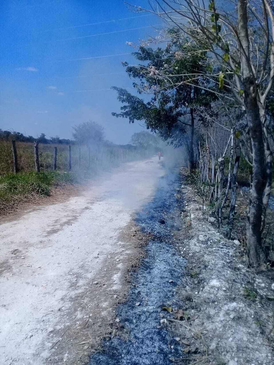 9 de 12