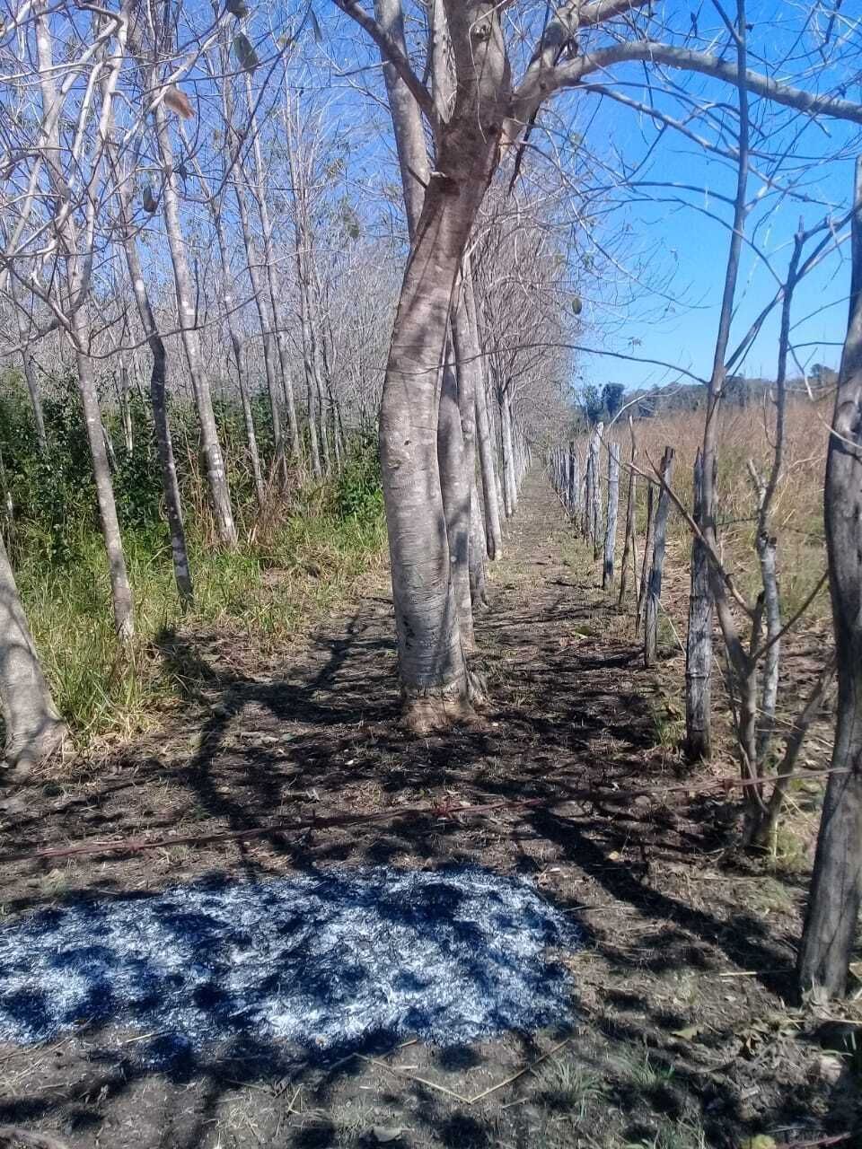 10 de 12