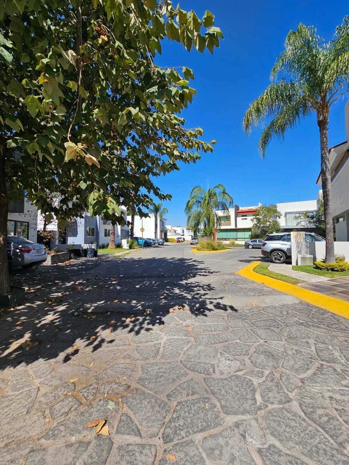10 de 14