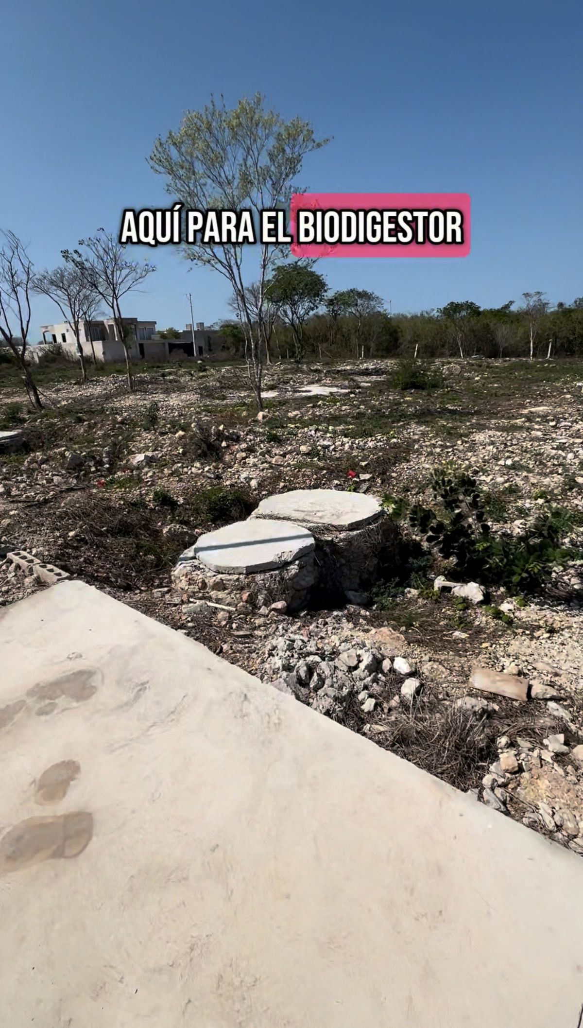 3 de 6