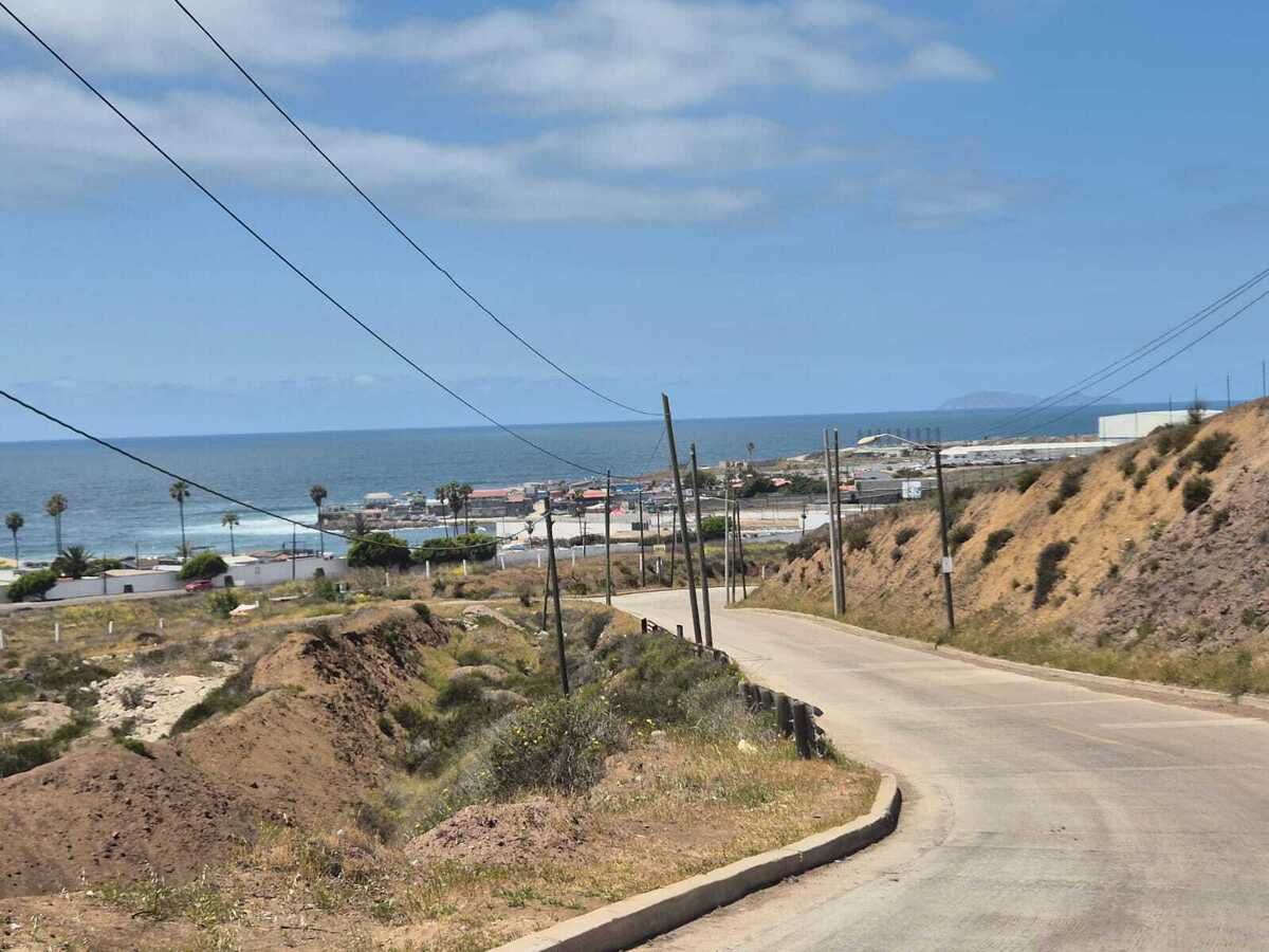 7 de 29
