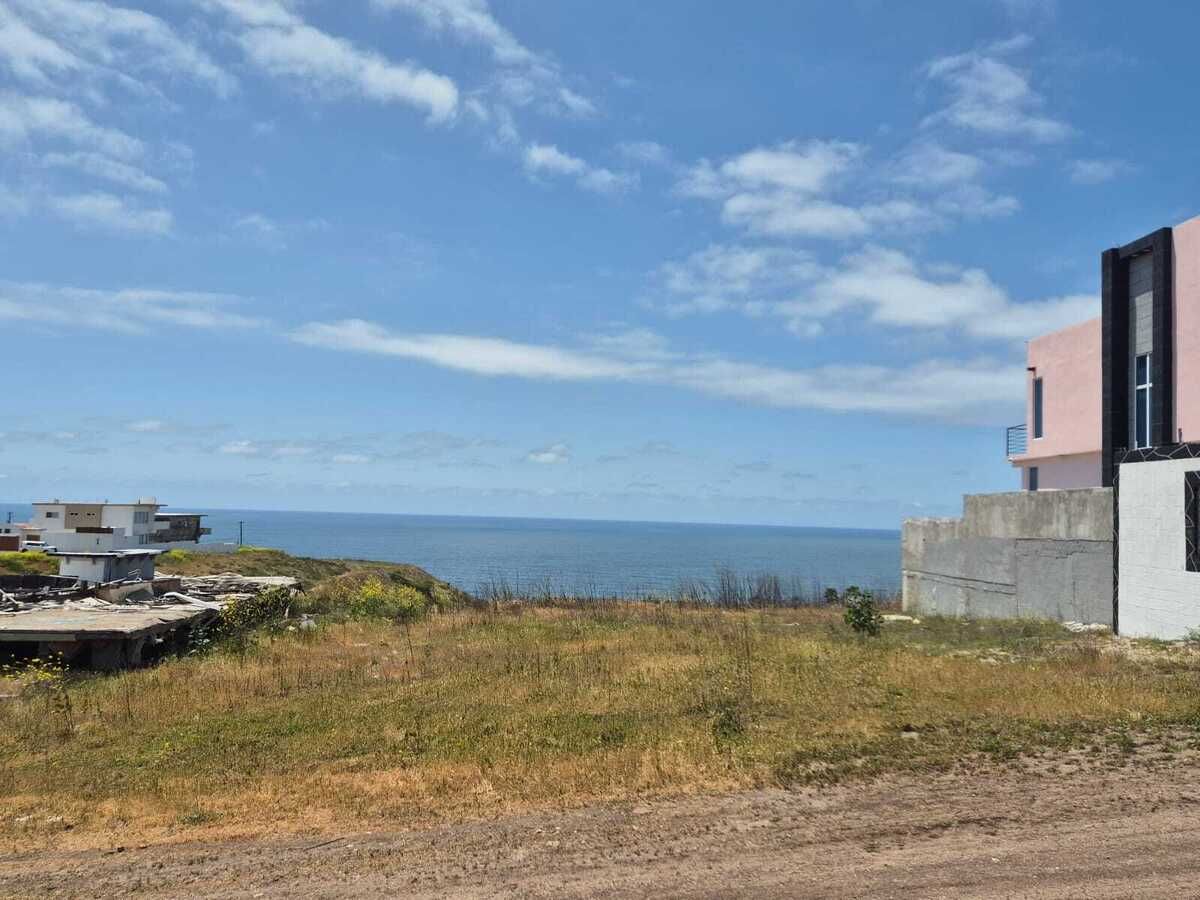 3 de 29