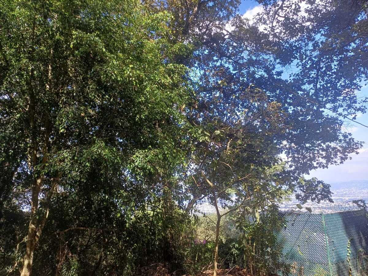 4 de 12