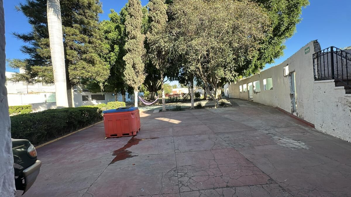 2 de 14