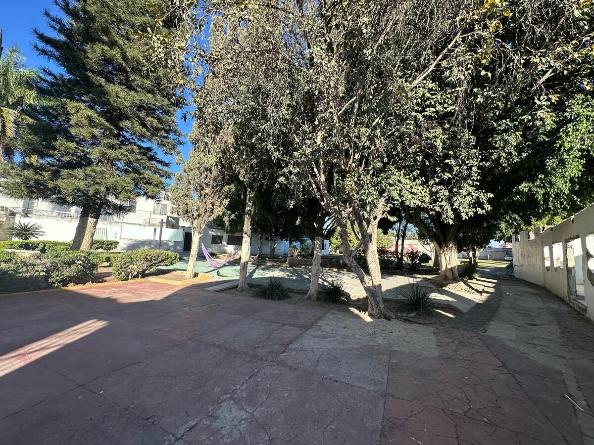 4 de 14