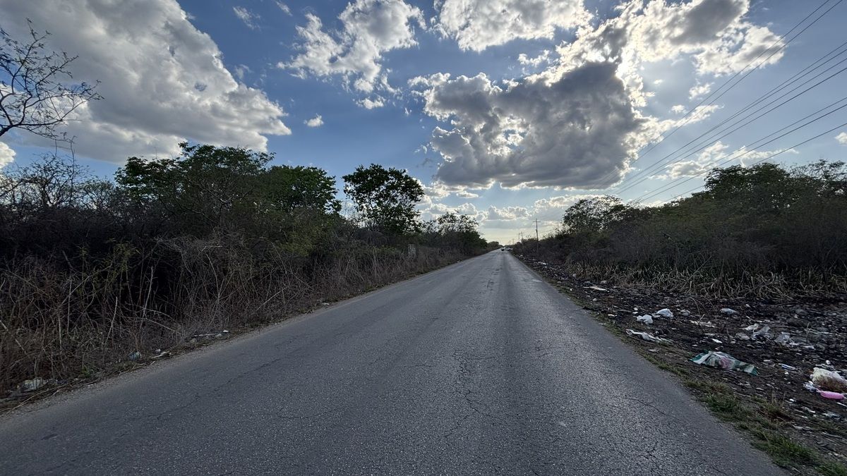 Imagen 7 de 8