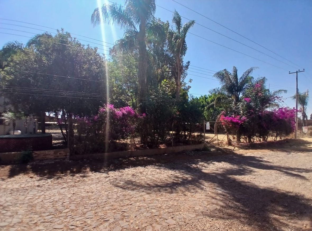 3 de 8