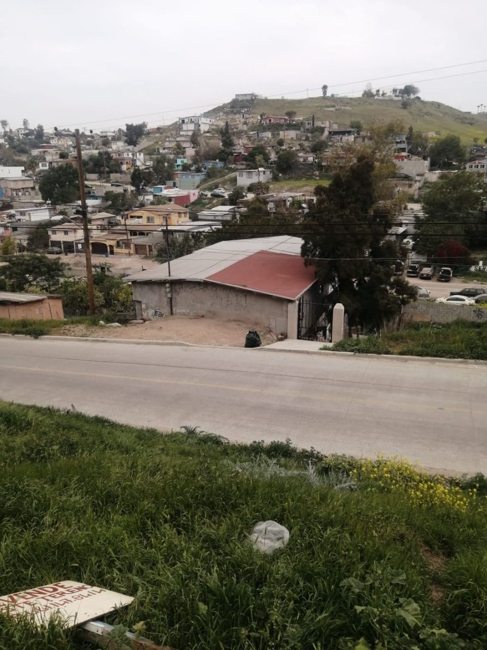 3 de 24