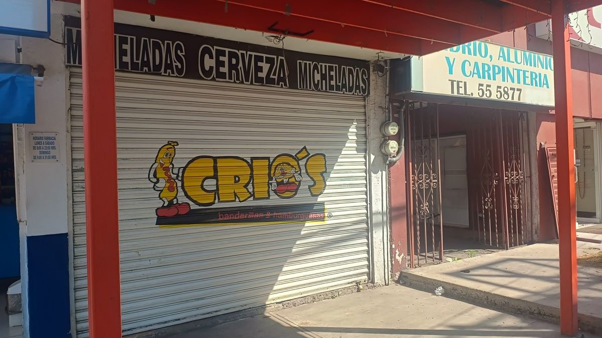 4 de 20