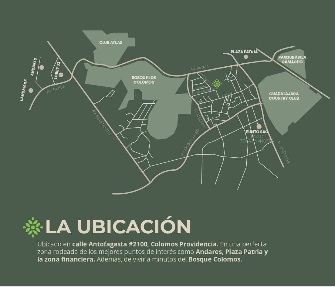 3 de 14