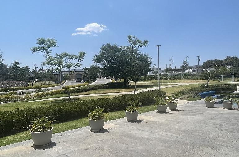 7 de 21