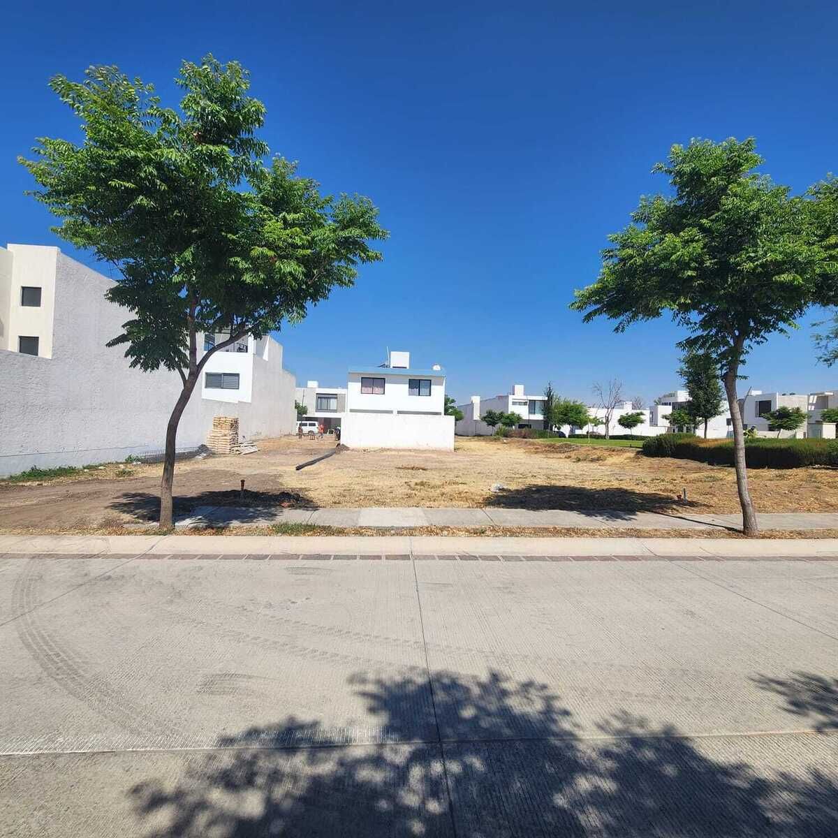 4 de 8