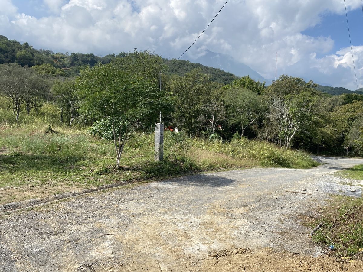 3 de 26