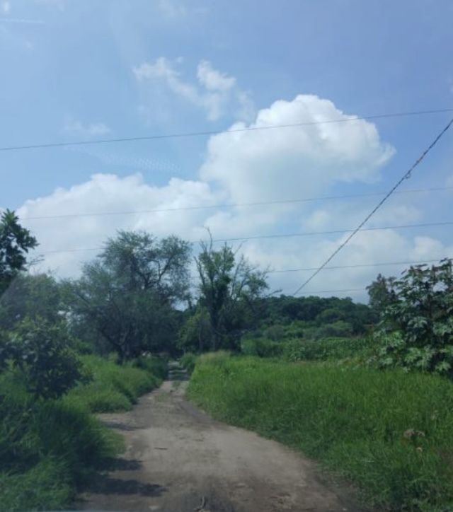 3 de 6