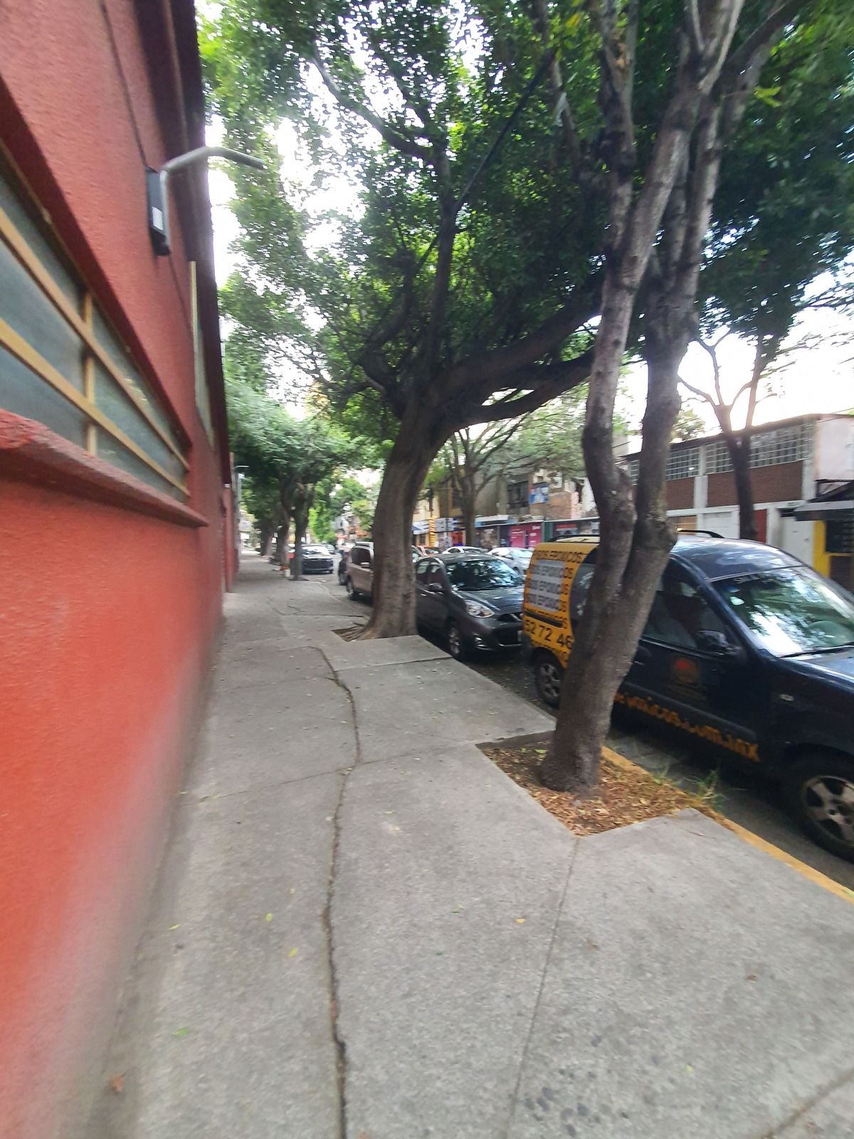 3 de 14