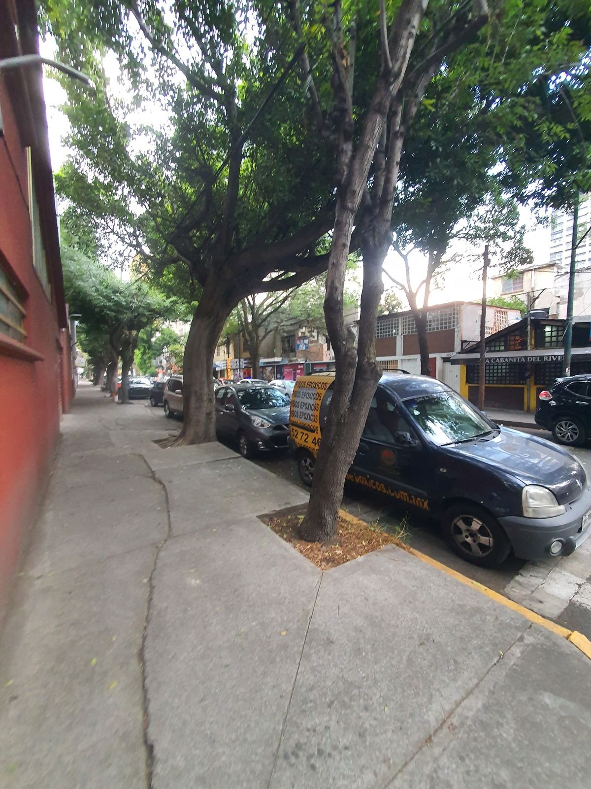 4 de 14
