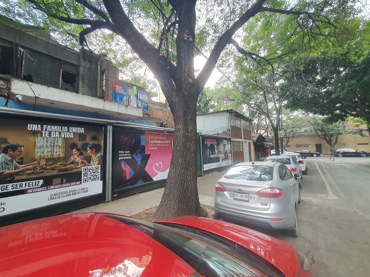 6 de 14