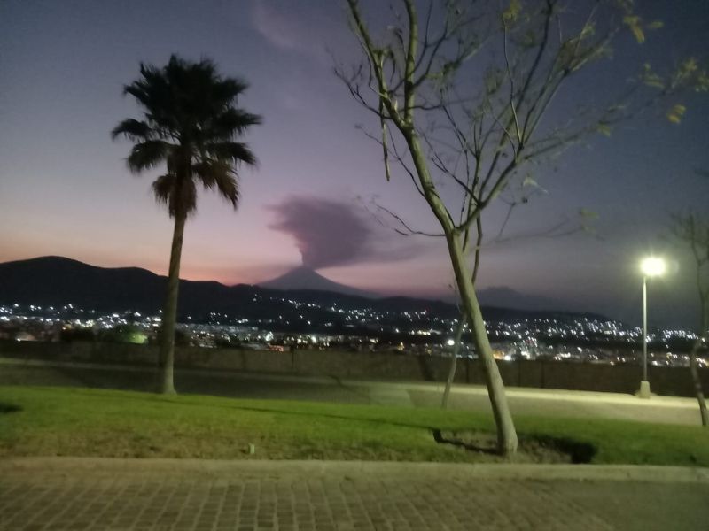 5 de 7