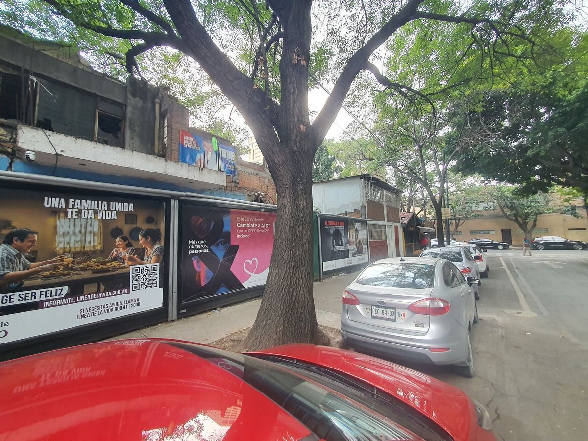 3 de 15