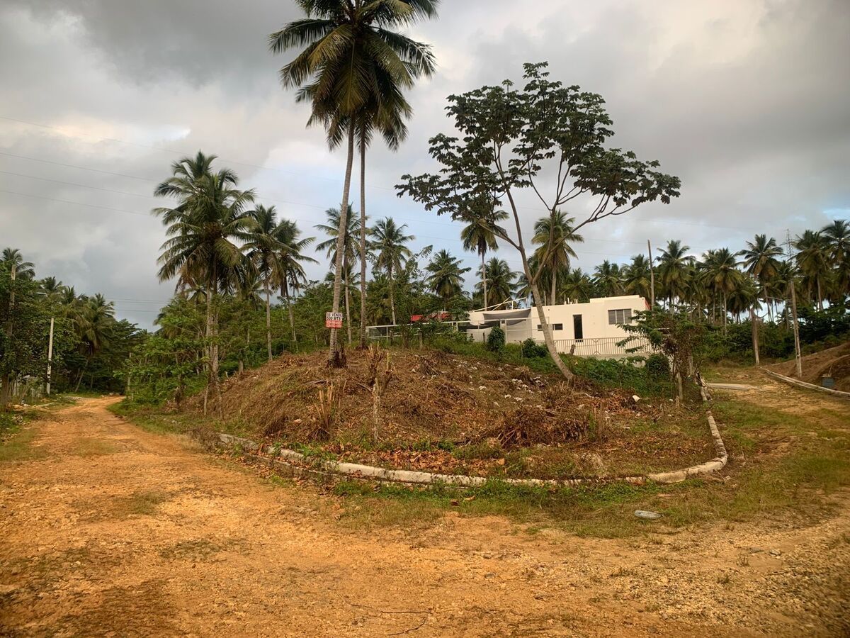 2 de 4