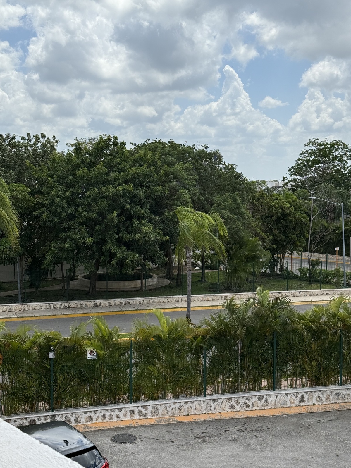 29 de 31