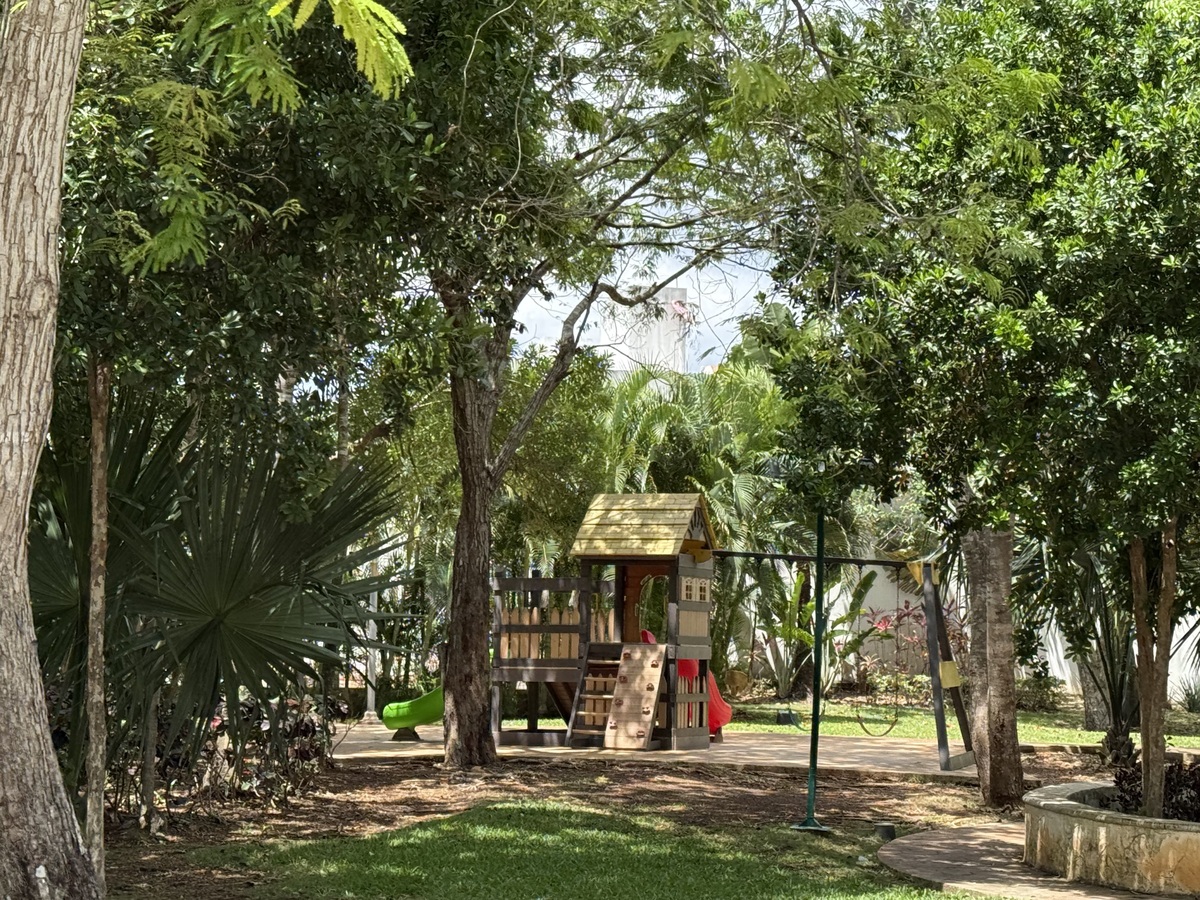 26 de 31