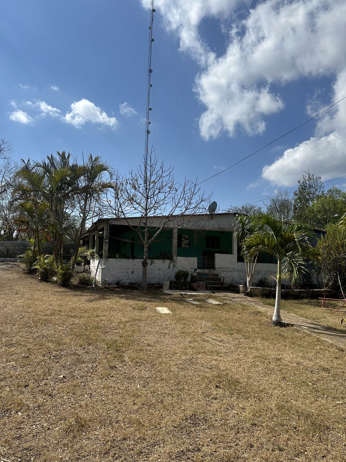 2 de 46