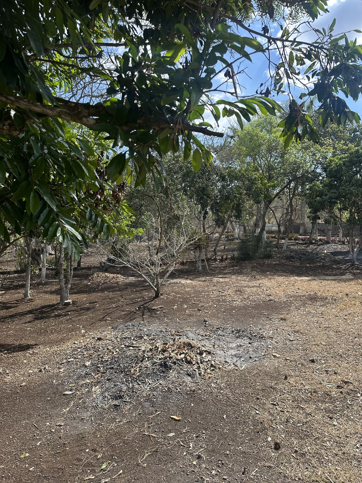 5 de 46