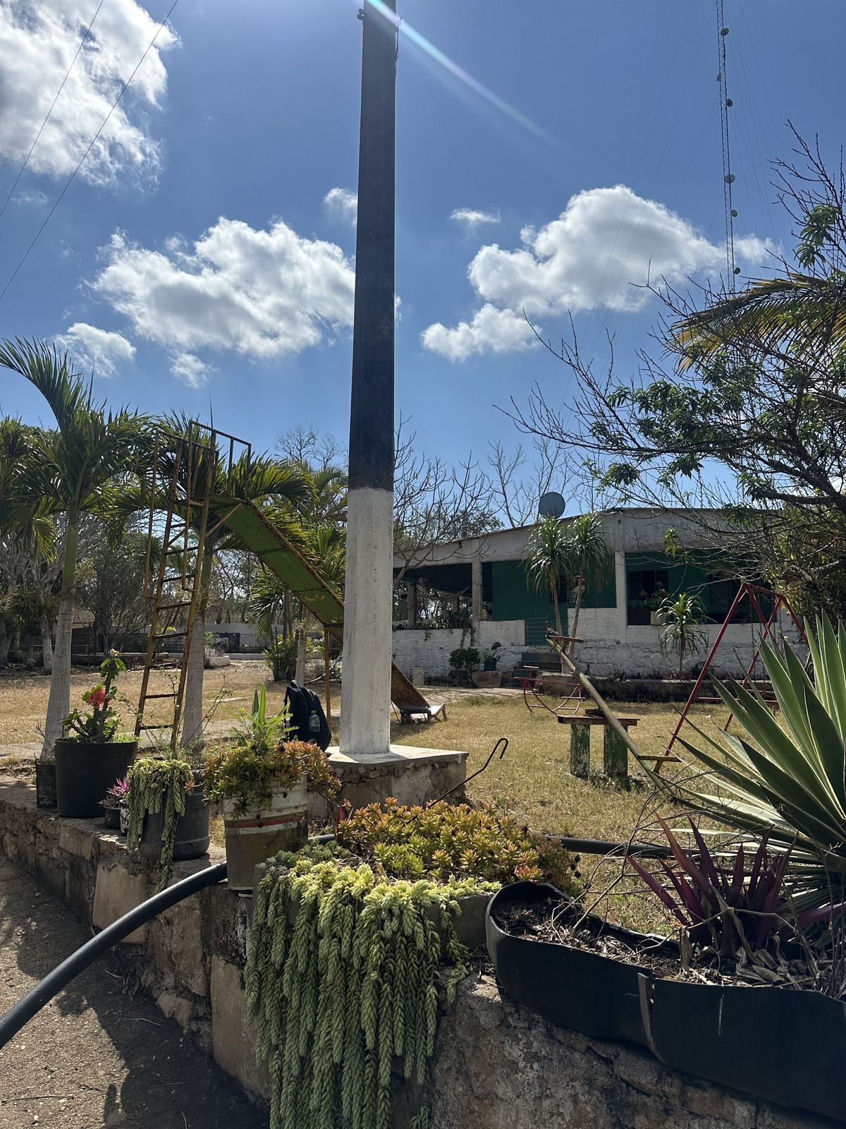 7 de 46