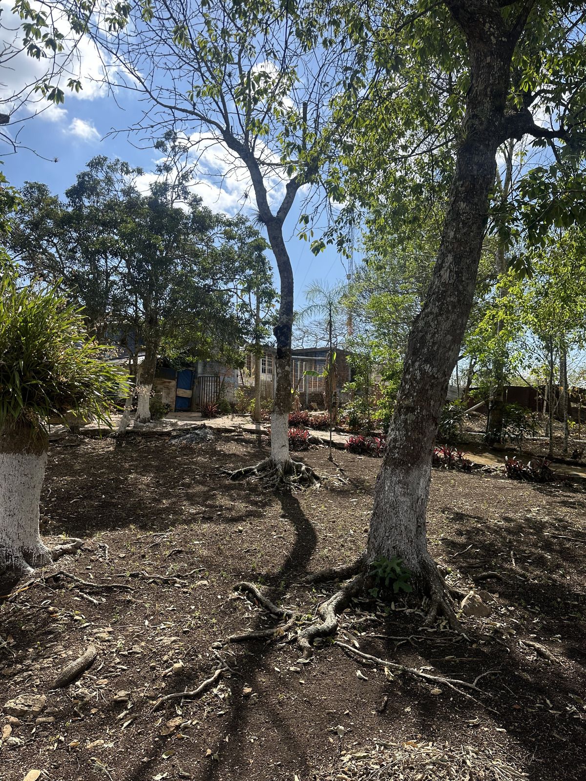12 de 46