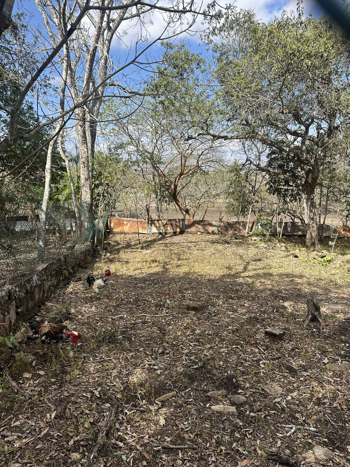 13 de 46