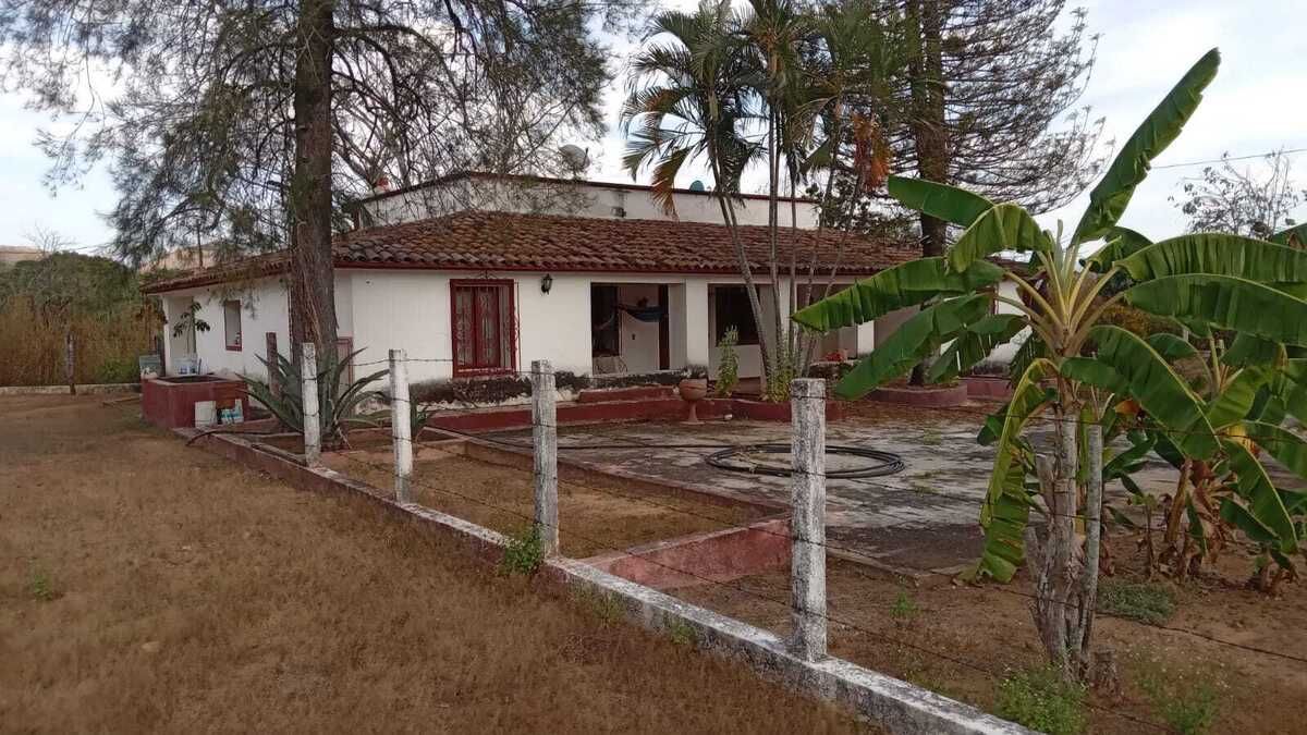 4 de 33