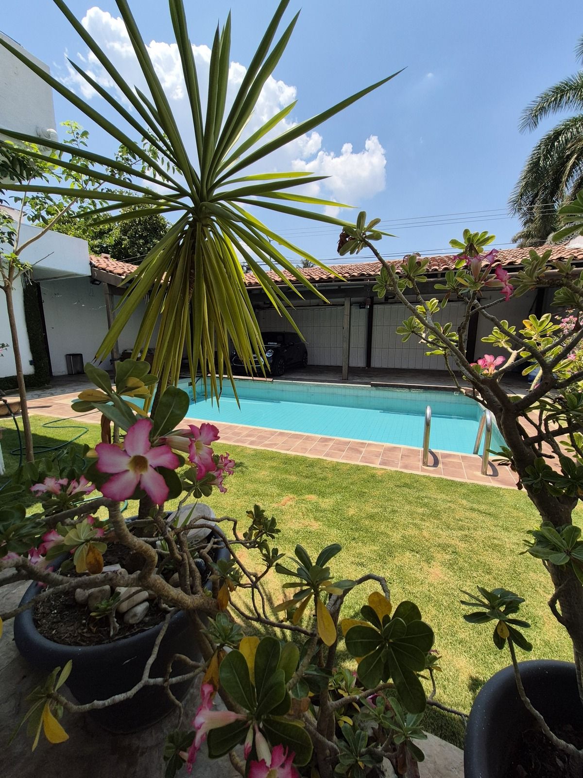 20 de 46: vista del jardin y alberca