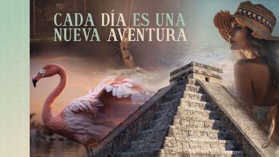 6 de 14
