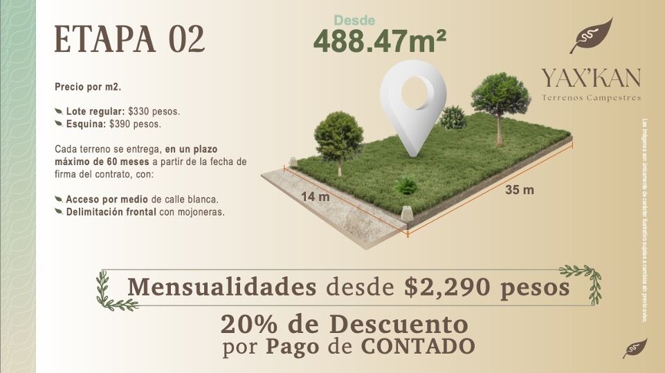 8 de 14