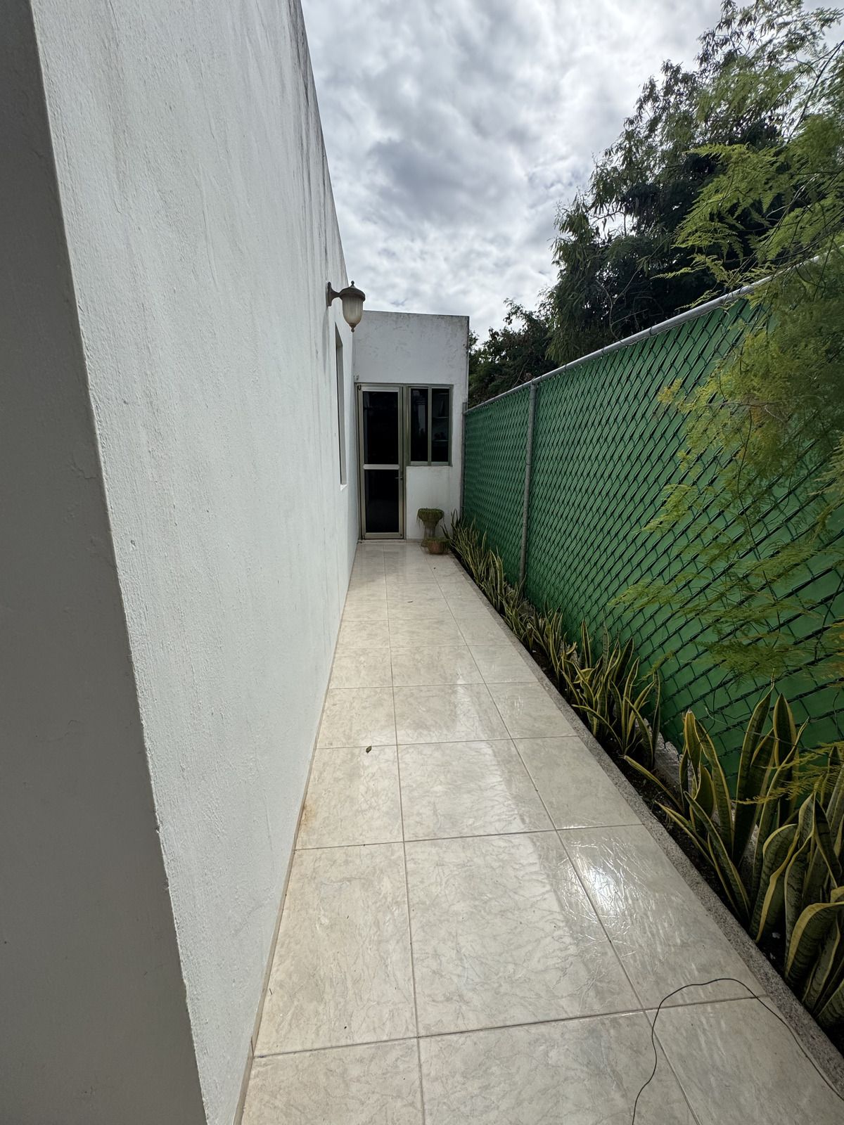 14 de 31