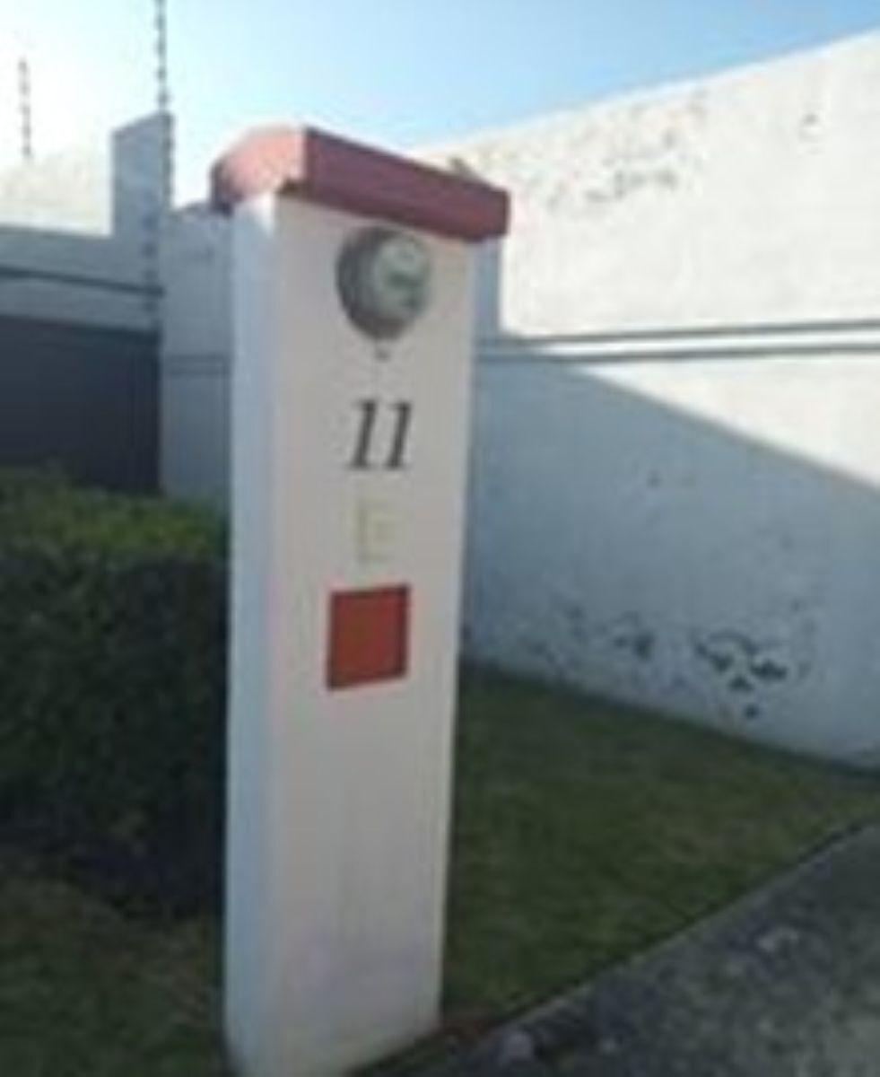 4 de 12