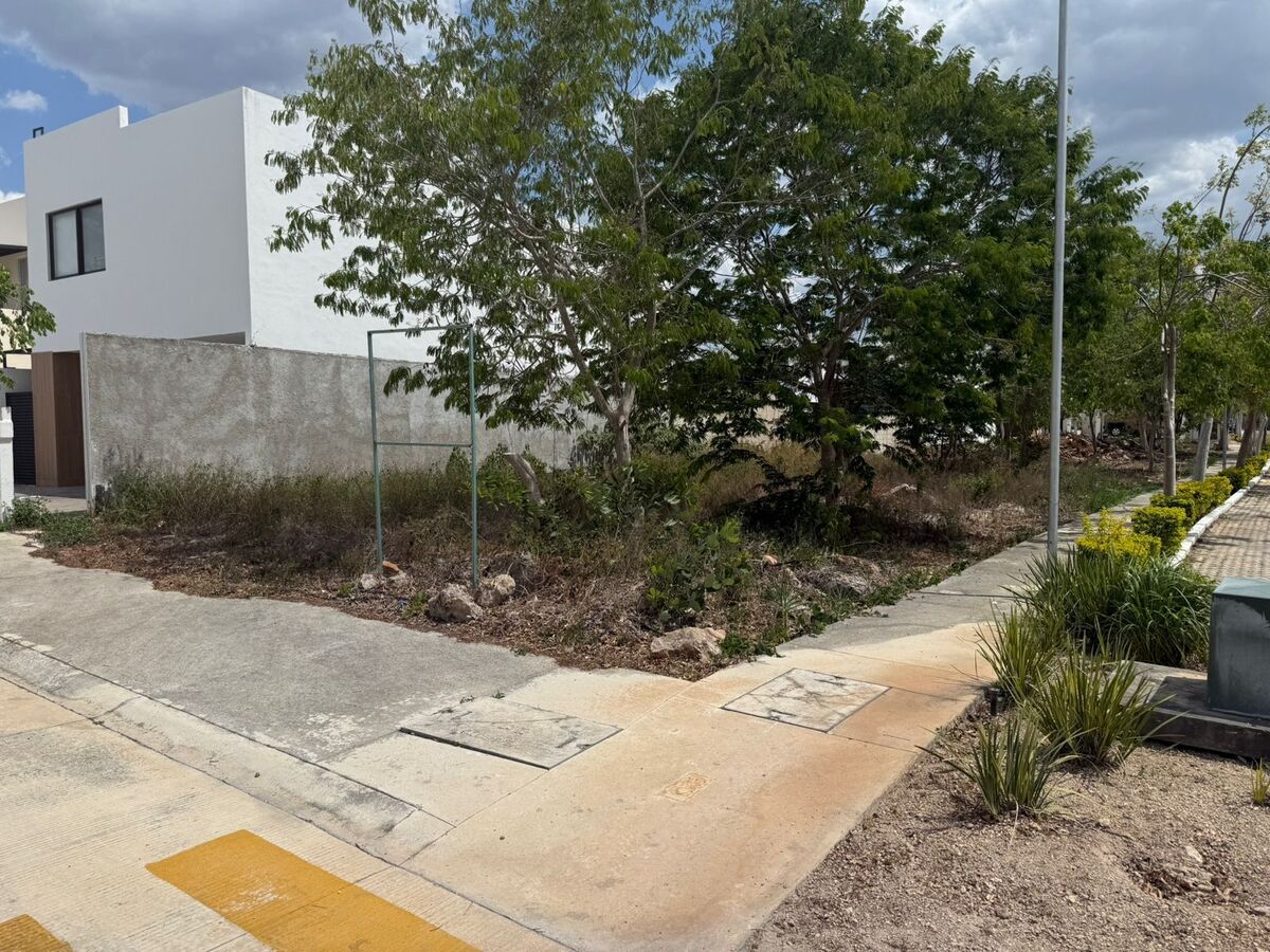 8 de 12