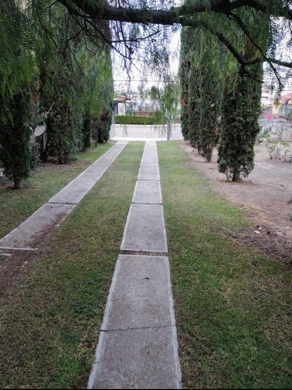 2 de 6