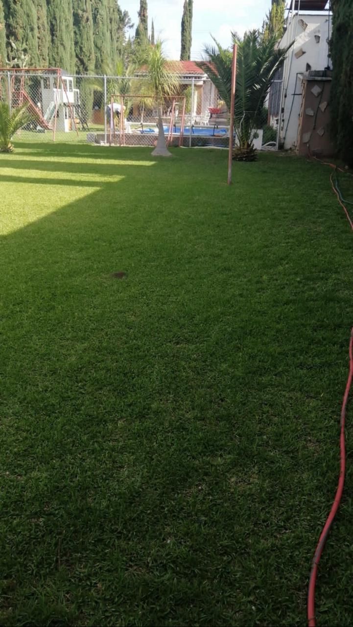 5 de 6