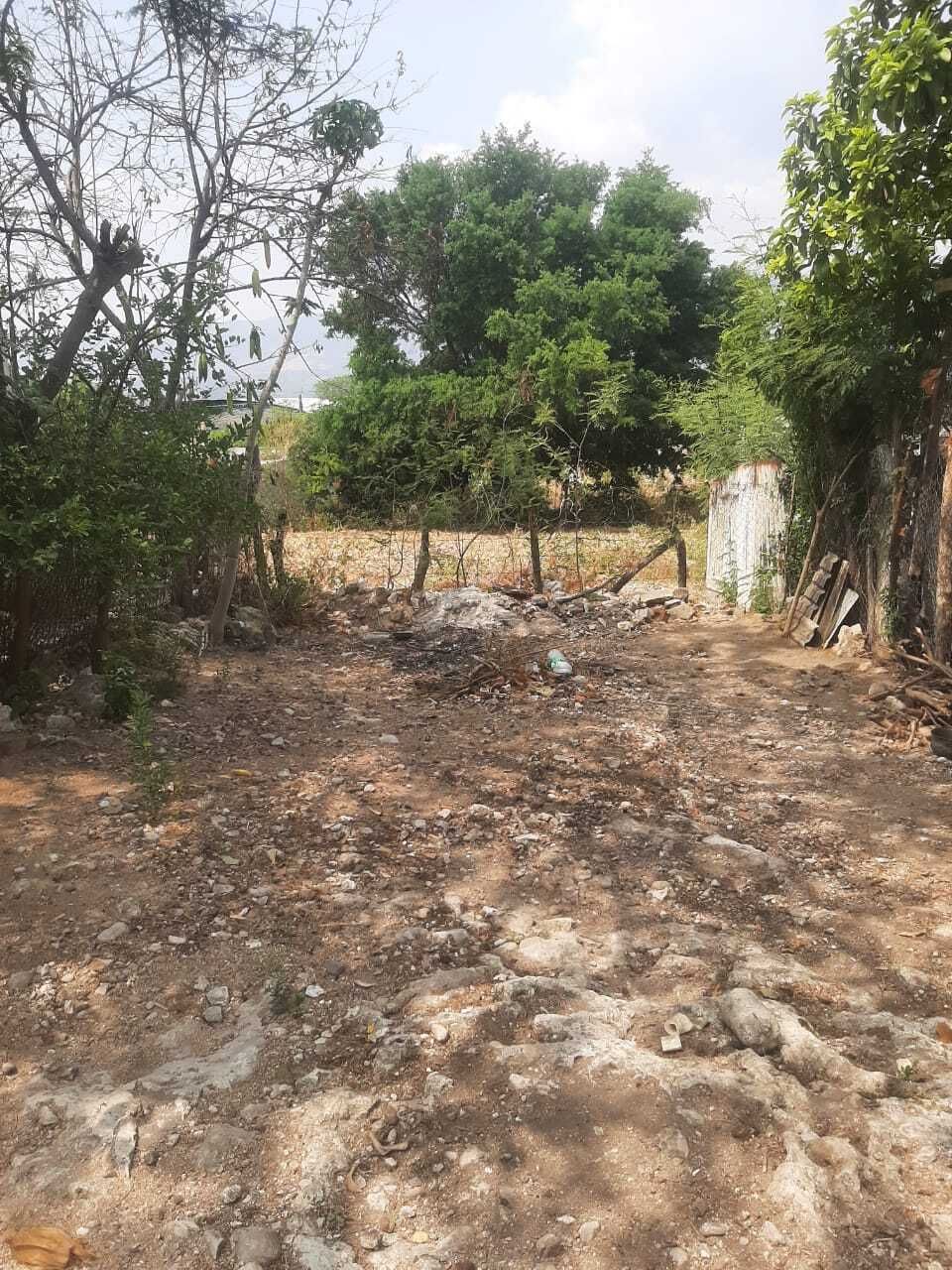 3 de 10