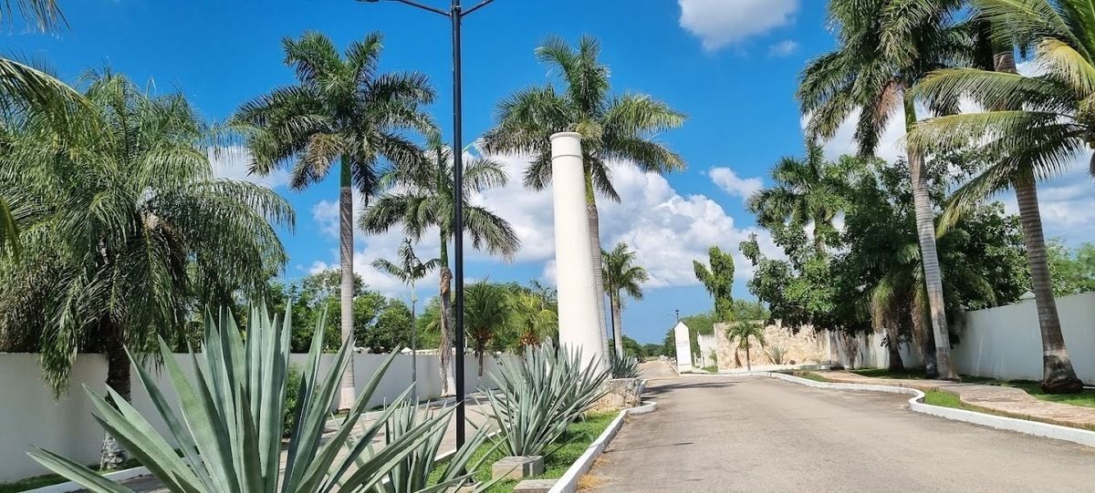 2 de 3